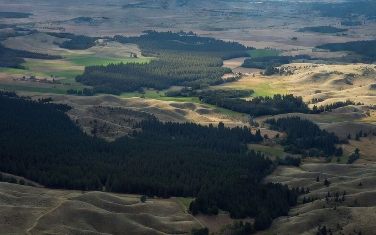 Aerial view of timbered hills and hayfields at Sarpy Creek Ranch in Treasure County, Montana