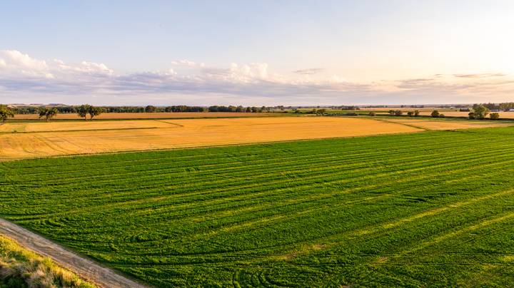 Irrigated farm fields bordering the timber at Savage Bottomlands