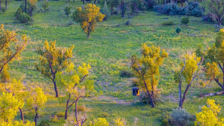 One of the established deer stands on the property